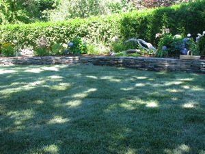 Lawn Scape